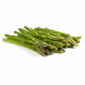 Canned Green Asparagus